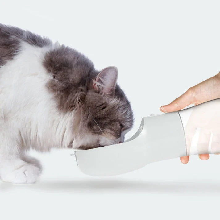 Portable Traveling Out Dog Water Bottle