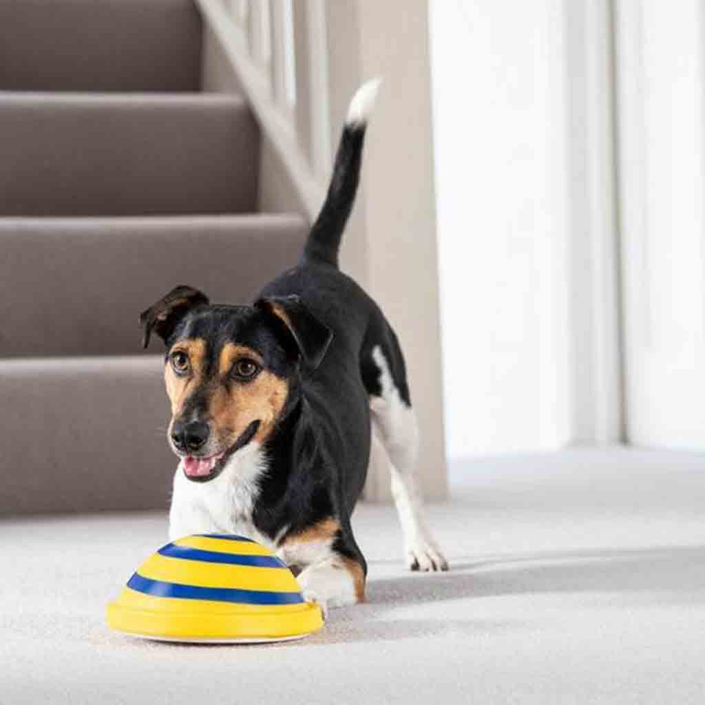 Woof Glider Dog Disc Toy