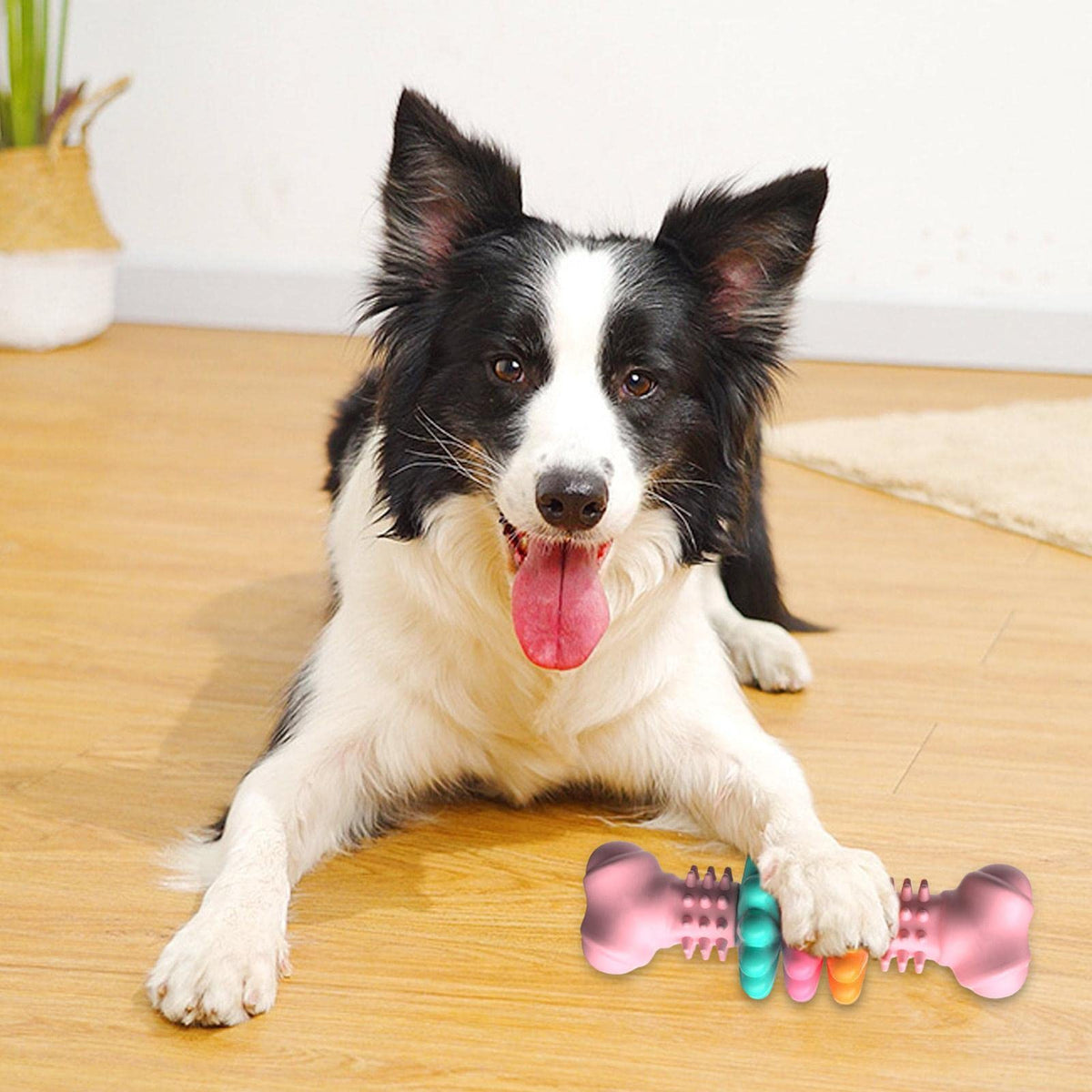 Indestructible TPR Bone Chew Toy