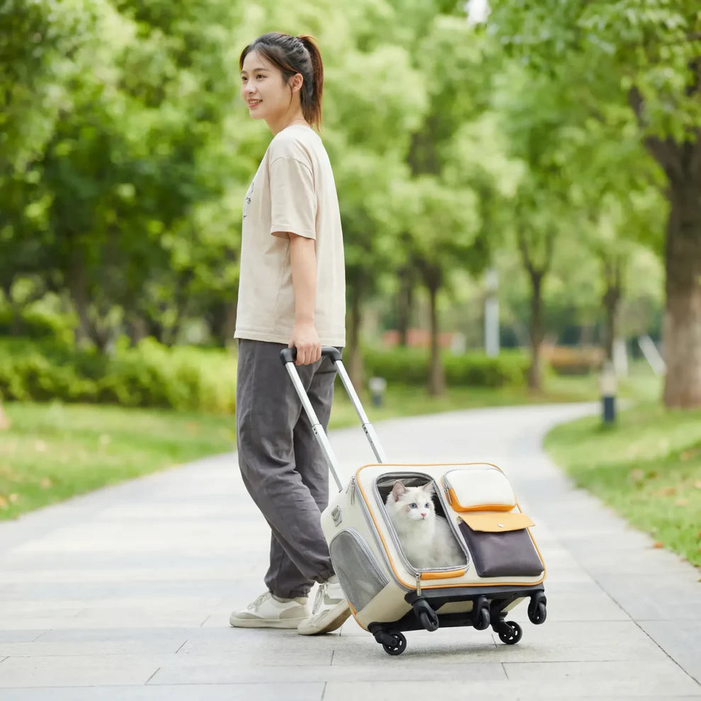 Anti-stress Pet Going Out Trolley Backpack