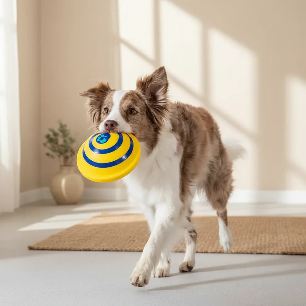 Woof Glider Dog Disc Toy
