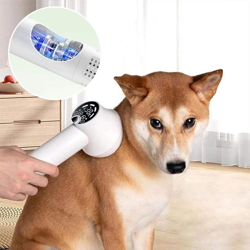 Smart Pet Golden Retriever Hair Dryer