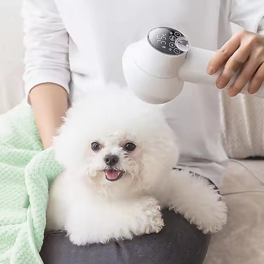 Smart Pet Golden Retriever Hair Dryer