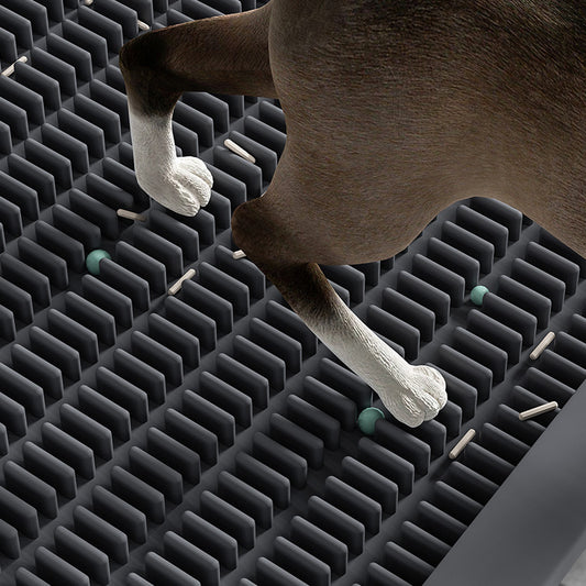 EVA Double Pet Cat Litter Mat