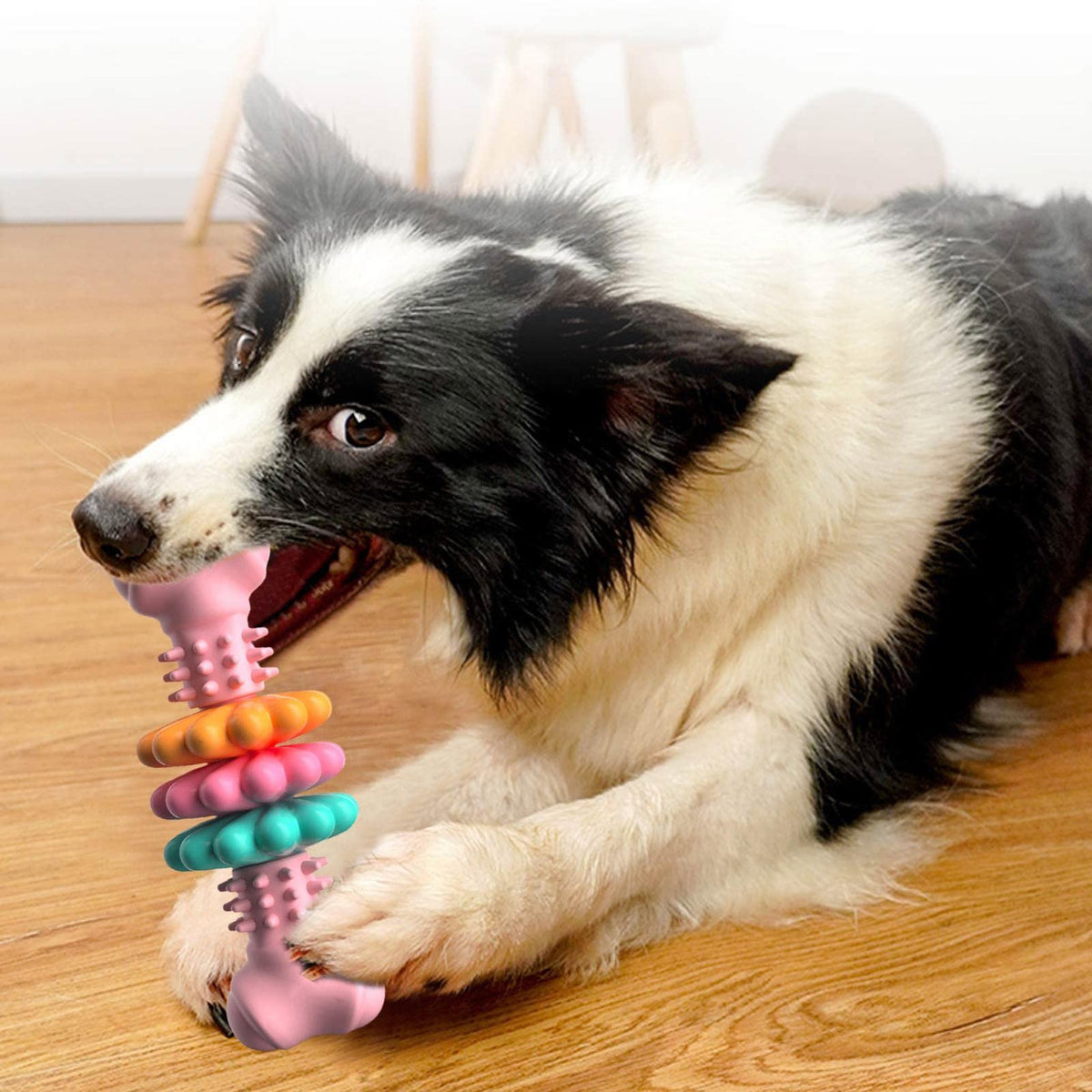 Indestructible TPR Bone Chew Toy